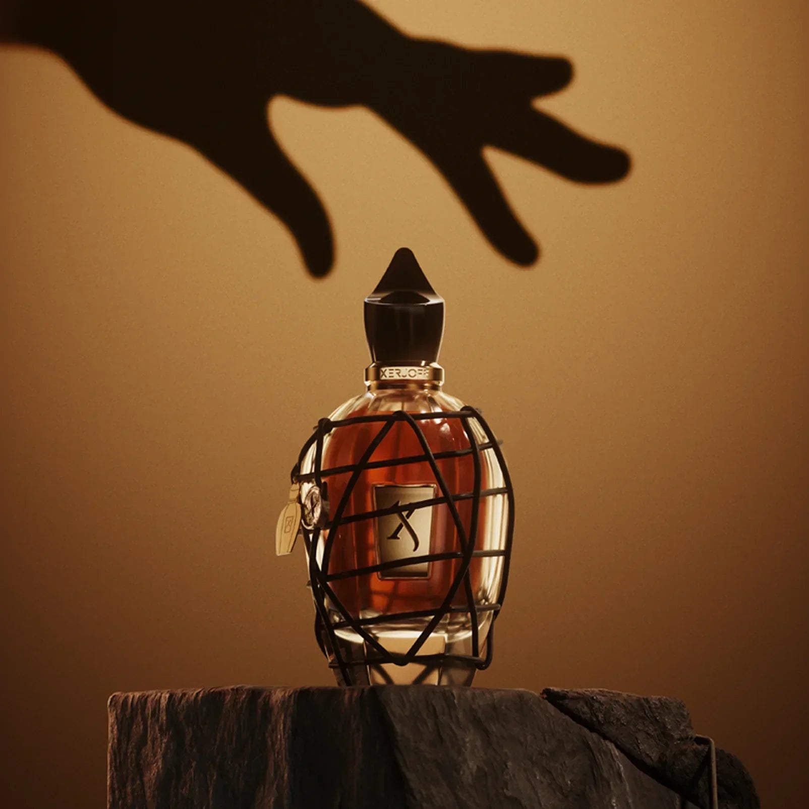 P.13 Limited Edition|100ML