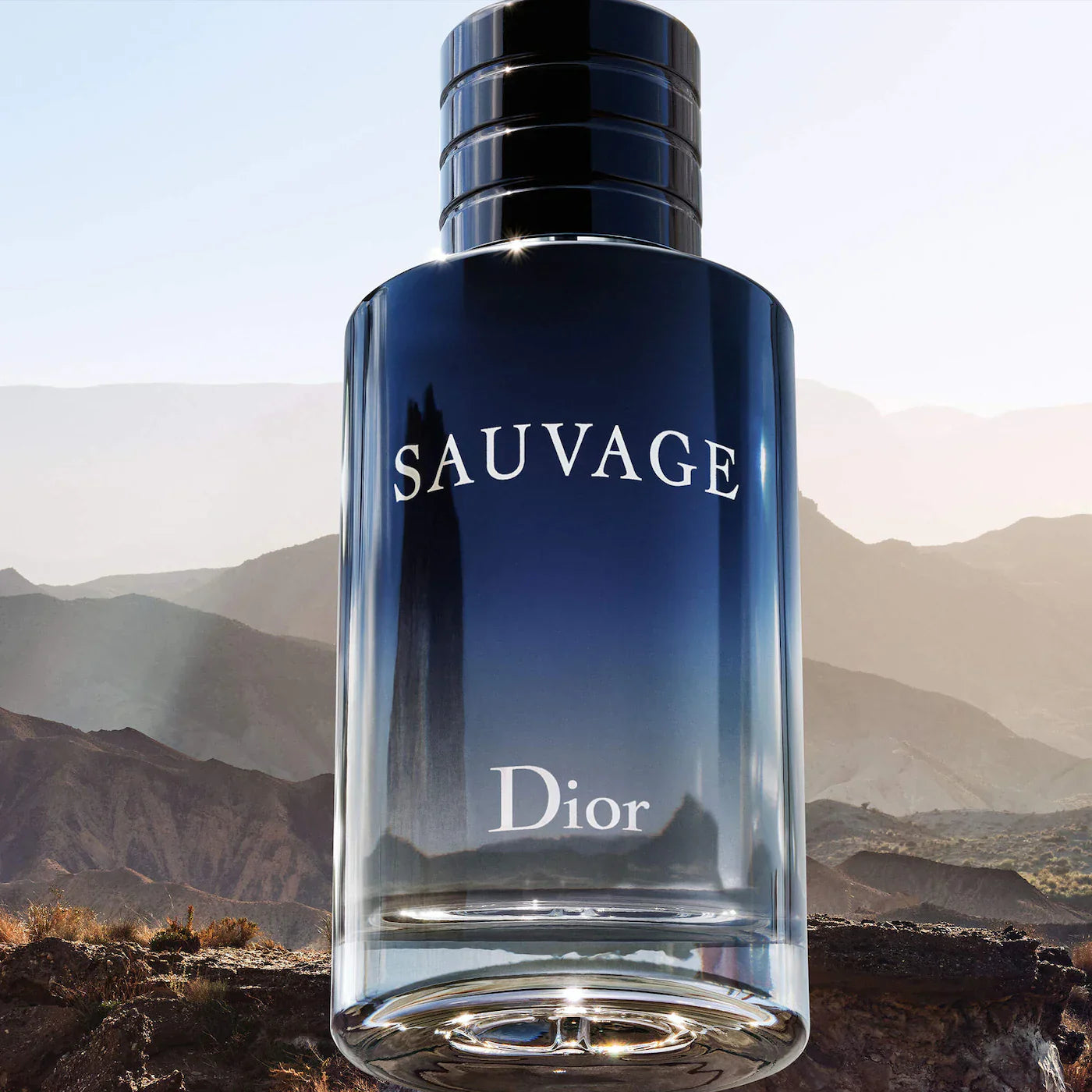 Sauvage Eau de Toilette|100ML