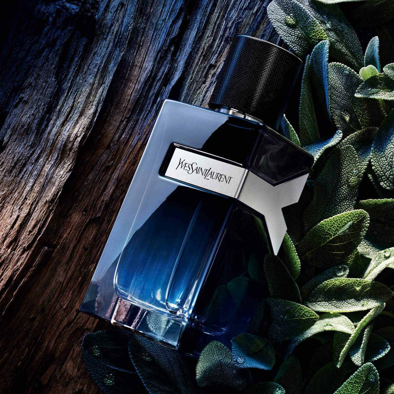 Fresh Geranium & Sensual Woods|100ML