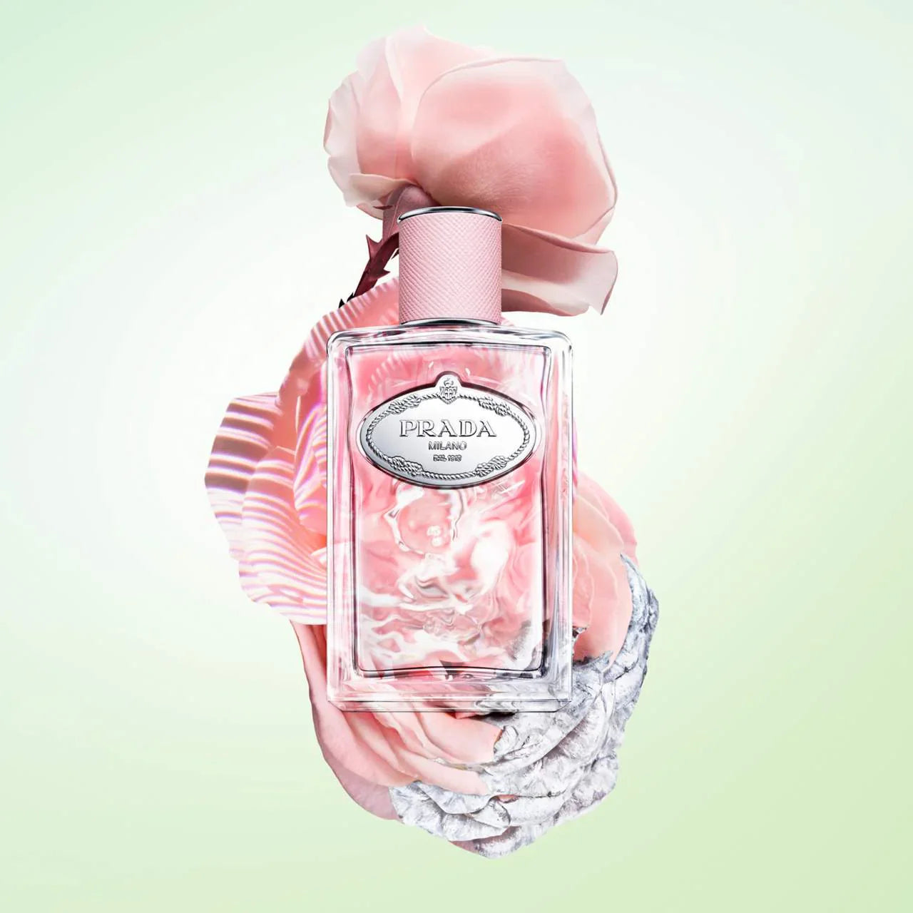 Infusion de Rose|100ML